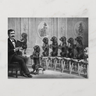Postal Perros educados