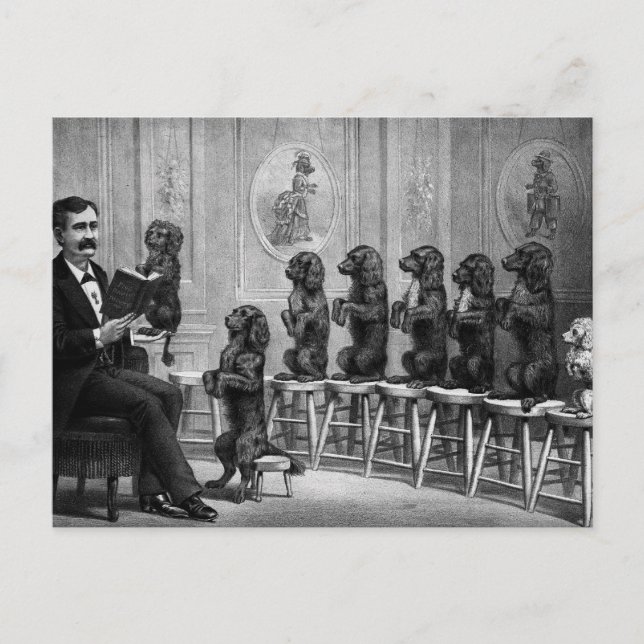 Postal Perros educados (Anverso)
