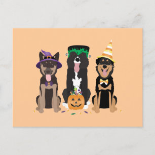 Postal Perros En Disfraces De Halloween