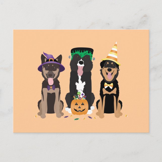 Postal Perros En Disfraces De Halloween (Anverso)