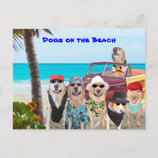 Postal Perros en la playa