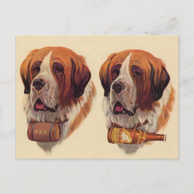 Postal perros gemelos idénticos St. Bernard (Anverso)