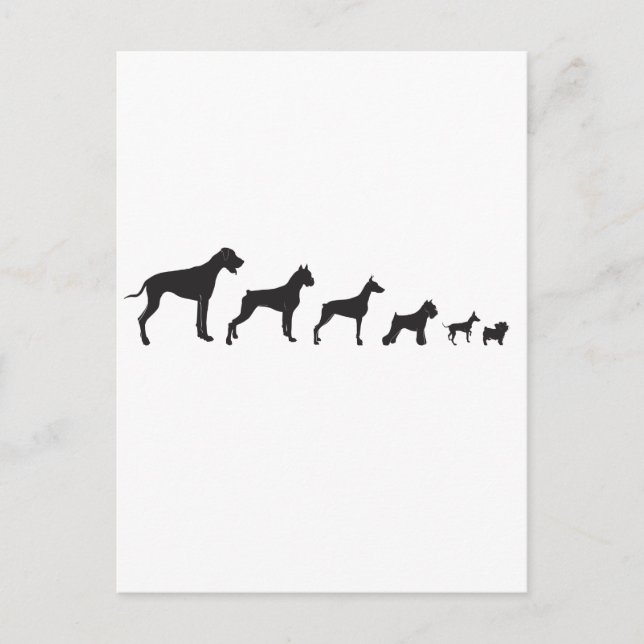 Postal Perros, grandes y pequeños (Anverso)