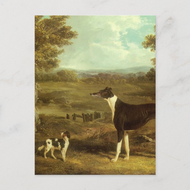 Postal Perros, Greyhound y Spaniel, Médica Fop by Herring (Anverso)