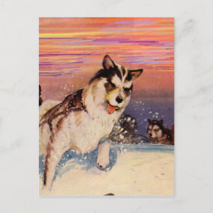 Postal Perros husky siberianos de los años 1940 haciendo 