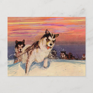 Postal Perros husky siberianos de los años 1940 haciendo