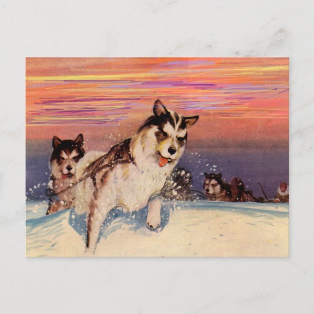 Postal Perros husky siberianos de los años 1940 haciendo  (Anverso)