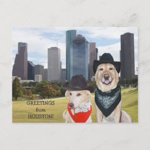 Postal Perros lindos/saludos del laboratorio de Houston