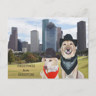 Postal Perros lindos/saludos del laboratorio de Houston