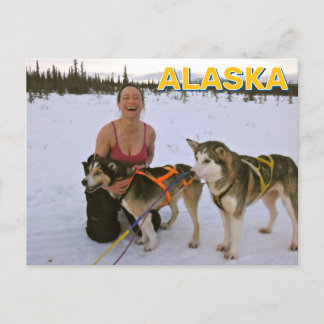 Postal Perros Lluviosos En Alaska