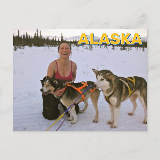 Postal Perros Lluviosos En Alaska (Anverso)