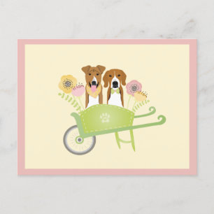 Postal Perros Marrones En Flores De Primavera De Ruedas