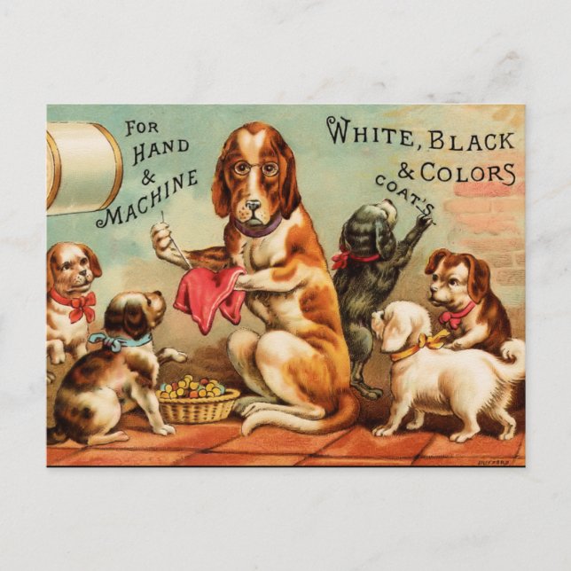 Postal Perros masticando (Anverso)