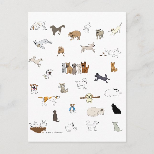 Postal Perros múltiples - Paw de atracción (Anverso)