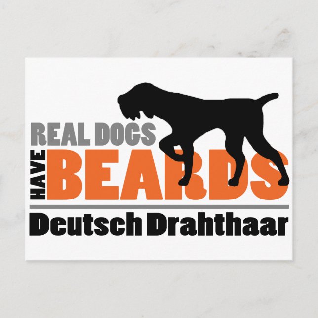 Postal Perros Reales Tienen Barras - Deutsch Drahthaar (Anverso)