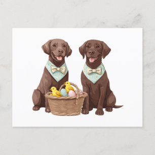 Postal Perros recuperadores de chocolate de pascua