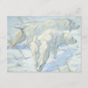 Postal Perros siberianos en la nieve