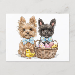 Postal Perros Terrier de Easter Yorkshire