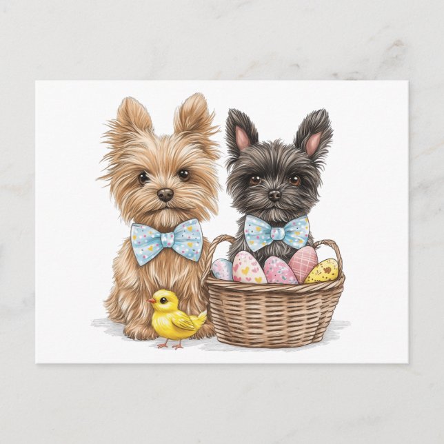 Postal Perros Terrier de Easter Yorkshire (Anverso)