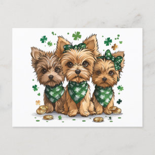 Postal Perros Terrier de San Patricio