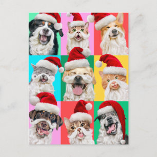 Postal Perros y Gatos con Barba de Santa