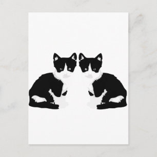 Postal persephone&hades 'tuxedo cat'