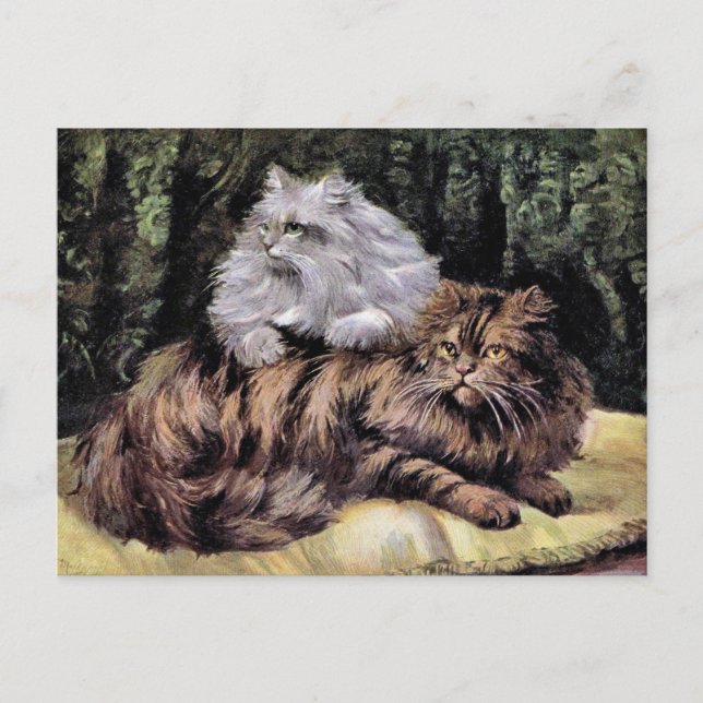 Postal Persia de Tabby y Plata (Anverso)