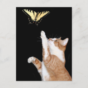 Postal persiga su sueño