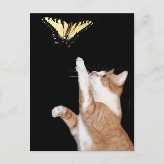 Postal persiga su sueño (Anverso)