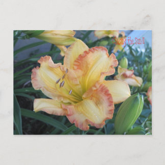 Postal Persiguiendo al Sol II, persiguiendo al Sol II