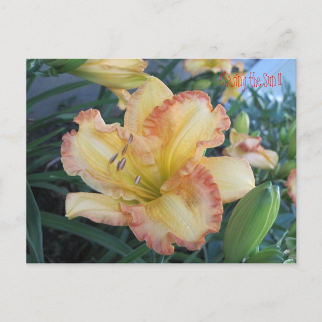 Postal Persiguiendo al Sol II, persiguiendo al Sol II (Anverso)