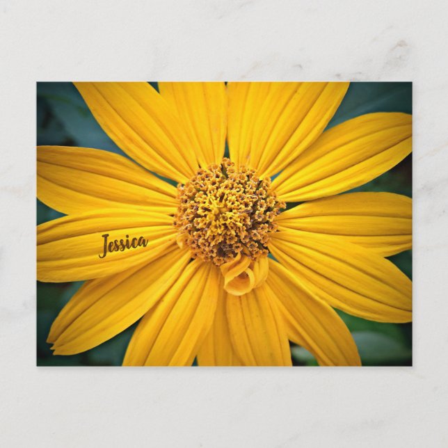 Postal Personaliza la hermosa flor amarilla (Anverso)