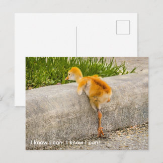 Postal Personaliza pollito lindo "Sé que puedo. Sé que pu