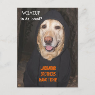 Postal Personalizable 90 lb. Laboratorio de Hoodie