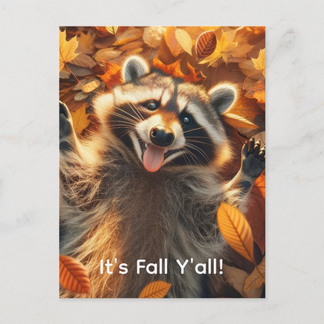 Postal Personalizable Cae Silly Raccoon (Anverso)