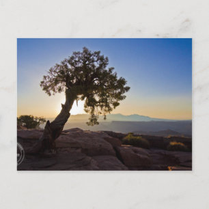 Postal ¡Personalizable: Cañonlands & Deed Horse Point Car
