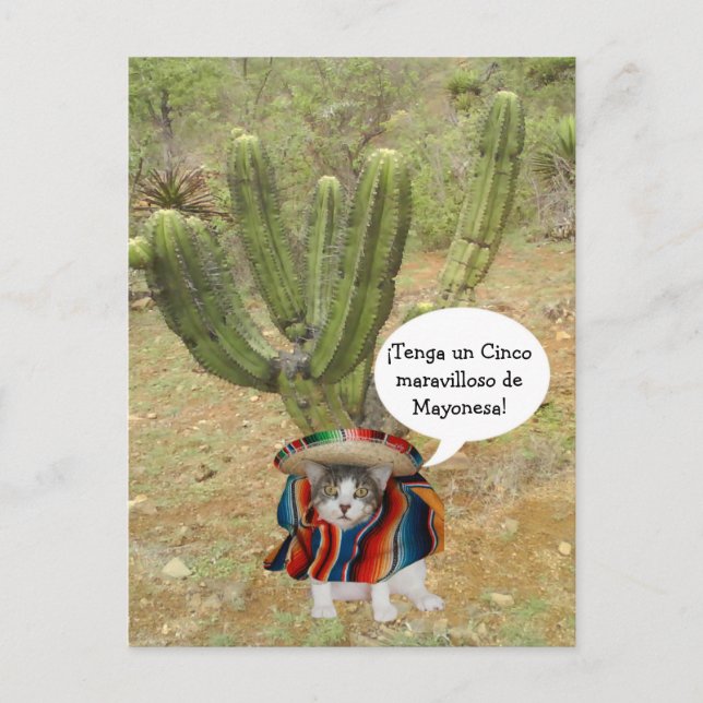 Postal Personalizable Cinco de Mayo (Anverso)