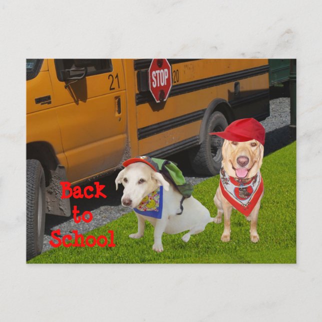 Postal Personalizable de vuelta a la escuela (Anverso)