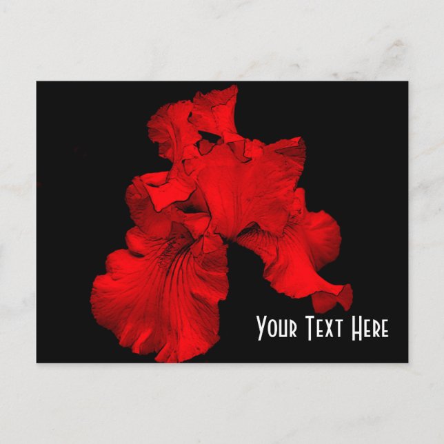Postal Personalizable Floral Iris Caliente Rojo (Anverso)