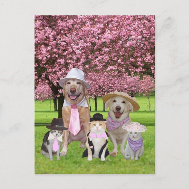 Postal Personalizable Gracioso Mascota Tema Rosa (Anverso)