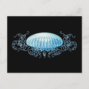 Postal Personalizable Haeckel Jellyfish