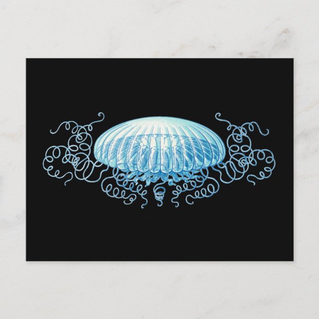 Postal Personalizable Haeckel Jellyfish (Anverso)