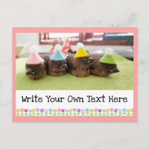 Postal Personalizable Mensajes de texto lindo Bebé Pájaro