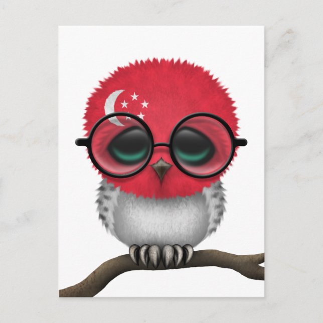 Postal Personalizable Nerdy Singapore Baby Owl Moda (Anverso)