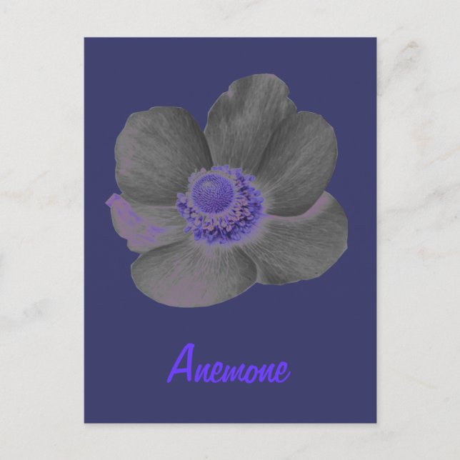 Postal Personalizable Sueños Oscuros Anemone Flower Postc (Anverso)