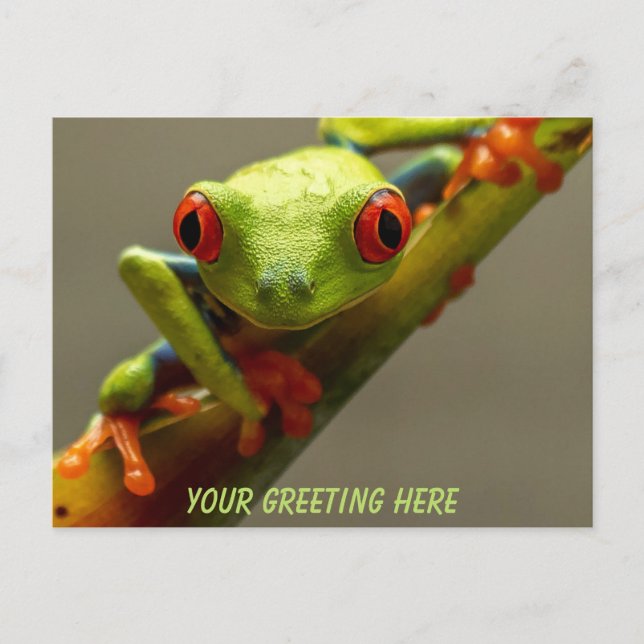 Postal Personalizada la rana teñida de Costa Rica (Anverso)