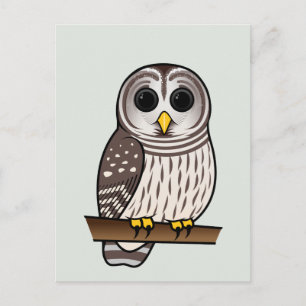 Postal Personalizado Barred Owl
