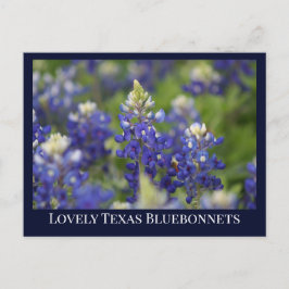 Postal Personalizado Blue Spring Bluebonnet Texas State F