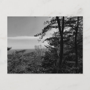 Postal personalizado con fotografía en blanco y ne