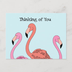 Postal Personalizado de Flamingo Rosa